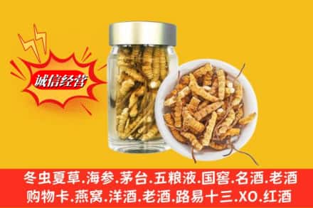 邯郸魏县回收散虫草